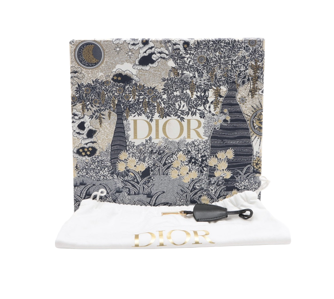 Dior Beaded Embroidered Dior Addict Bag